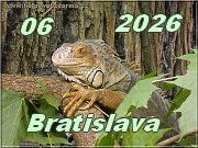 Ba 06-2026
